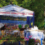 Макарьевские аграрии успешно презентуют свои достижения в парке «Берендеевка» - Газета Макарьевский вестник