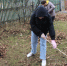 В средней школе №1 города Макарьева прошел осенний субботник - Газета Макарьевский вестник