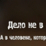 И вновь о собаках! Уважаемые владельцы собак!  Не допускайте самовыгул животных! - Газета Макарьевский вестник
