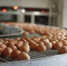 Производство сельскохозяйственной продукции в регионе увеличилось на 3,4% - Газета Макарьевский вестник