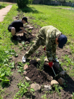 Работа на пришкольном участке требует большой отдачи и терпения: Макарьевские школьники трудятся с пользой и хорошим настроением