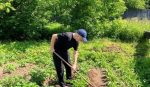 Работа на пришкольном участке требует большой отдачи и терпения: Макарьевские школьники трудятся с пользой и хорошим настроением