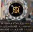 Присоединяйтесь к команде профессионалов! - Газета Макарьевский вестник