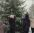 Жителям Костромской области напоминают о правилах использования пиротехнических изделий - Газета Макарьевский вестник