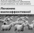 Управление ветеринарии напоминает владельцам хозяйств всех форм собственности о своевременном информировании о заболеваниях или падеже животных - Газета Макарьевский вестник