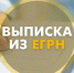 Выписка из ЕГРН заменит свидетельство о постановке на налоговый учёт - Макарьевский район
